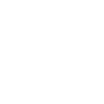 Leo Camerini Logo White